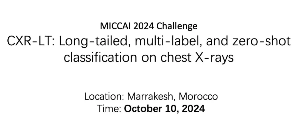 2024 cxr miccai cover