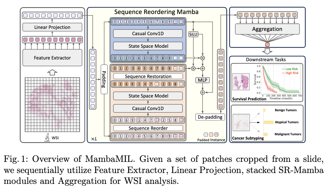 MambaMIL Overview