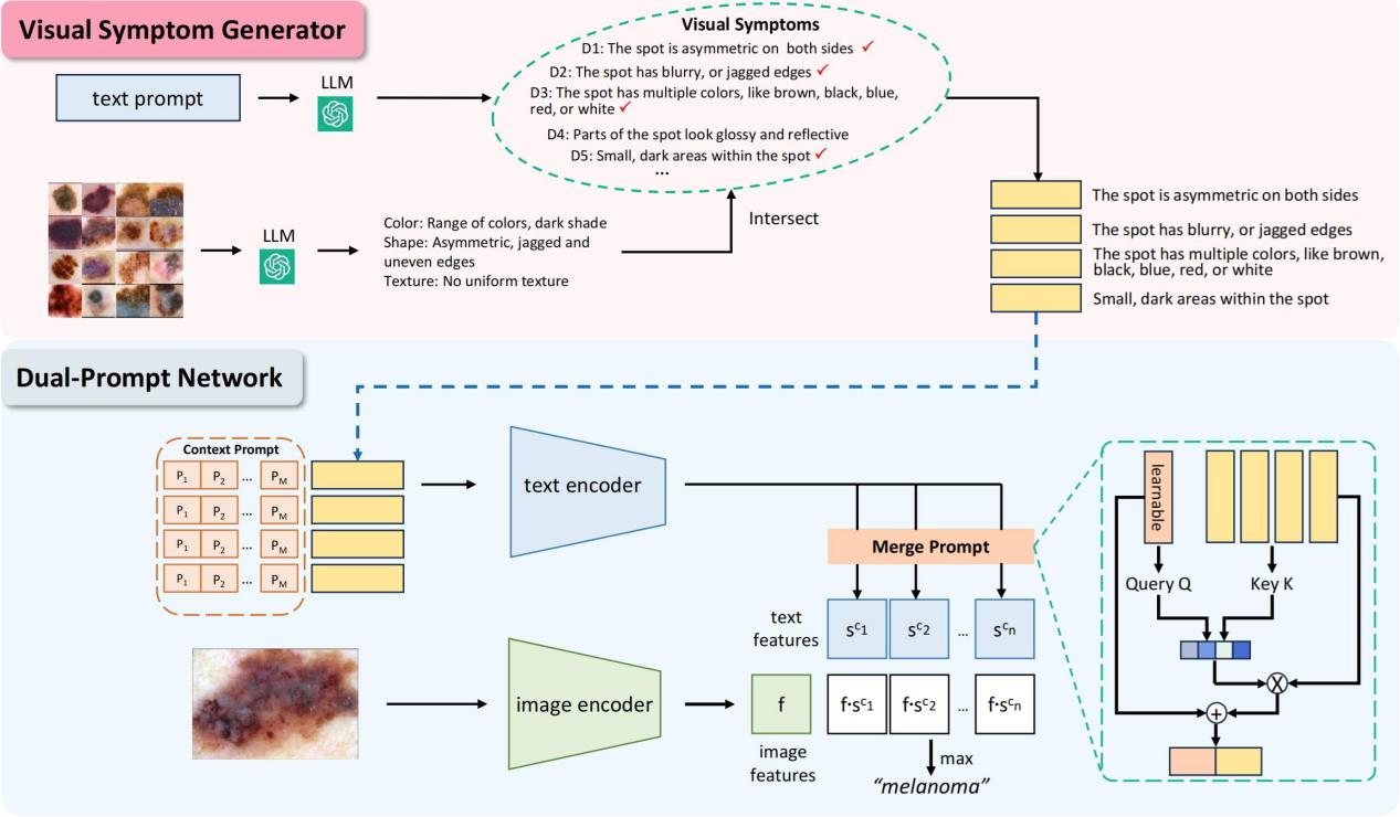 Visual Symptom-Guided Prompt Learning Framework