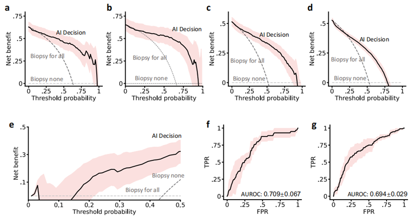 MOME Decision Explanations