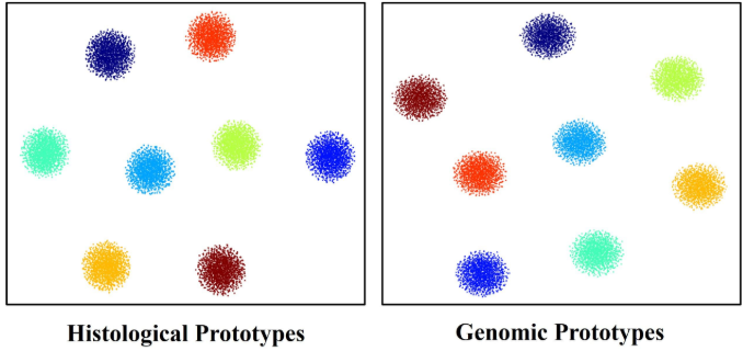 Interpretability