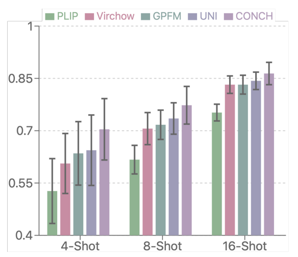 FM Comparison