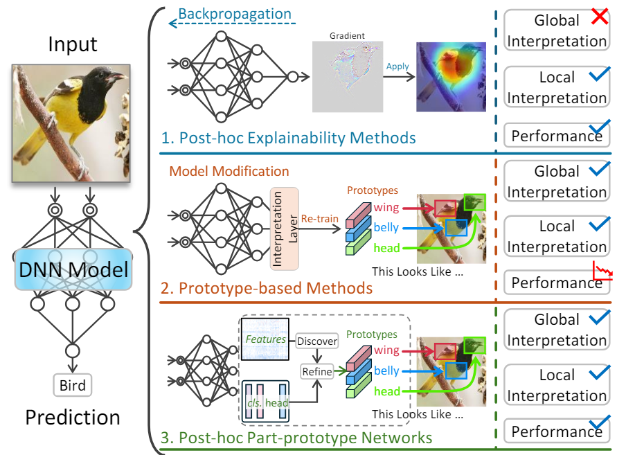 Post-hoc Part-prototype Networks